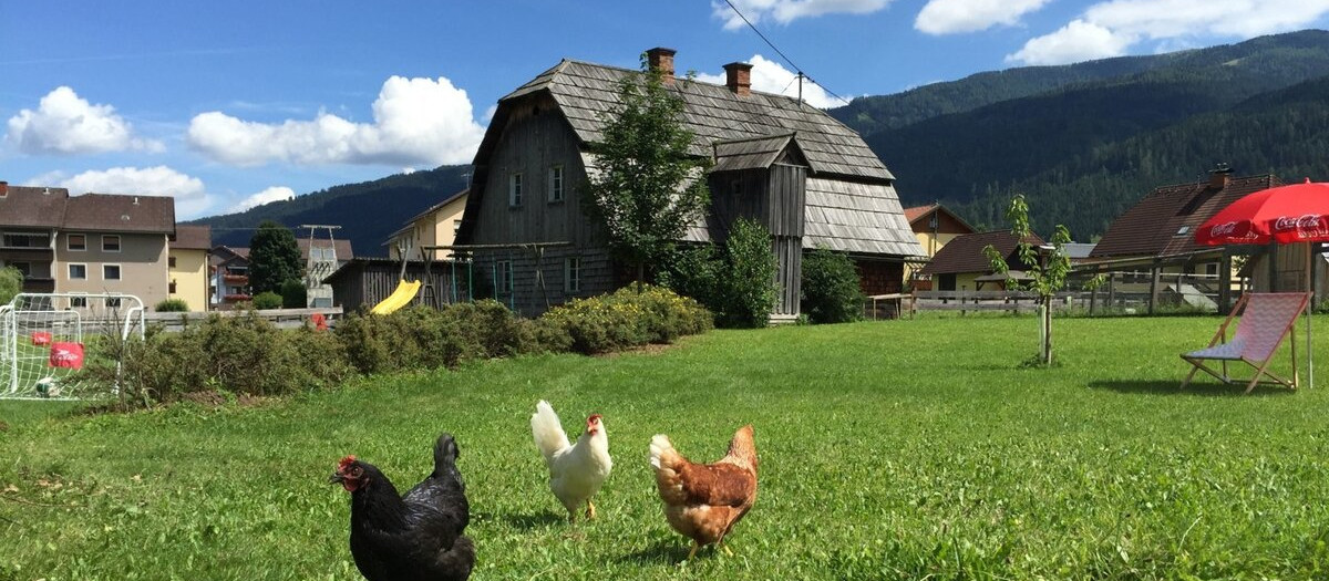 Bild kann nicht angezeigt werden.